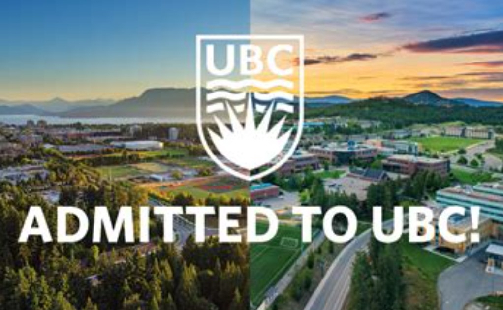 How Many Scholarships Are Offered To International Students For Ubc?